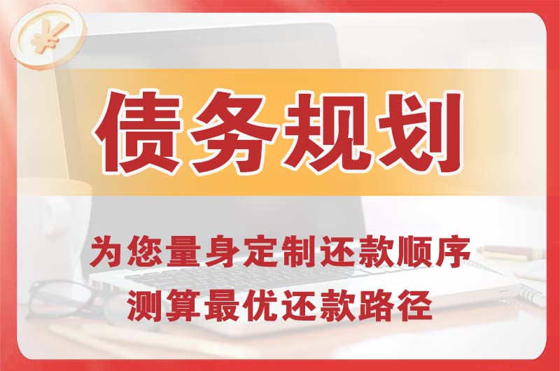 林州债务规划